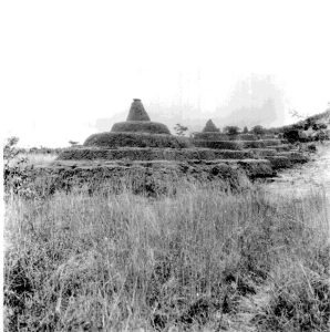 Nsude Pyramids village shrine, Abaja, Northern Igbo, 1930s. Photographed by G.I. Jones. Courtesy of Southern Illinois University Archives.