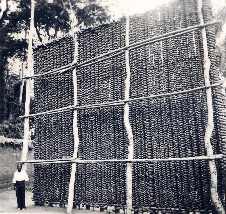 Traditional Igbo yam barn with yams stacked for drying, 1880-1939. Photographed by J Stöcker.